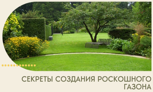 Секреты создания роскошного газона в Когалыме
