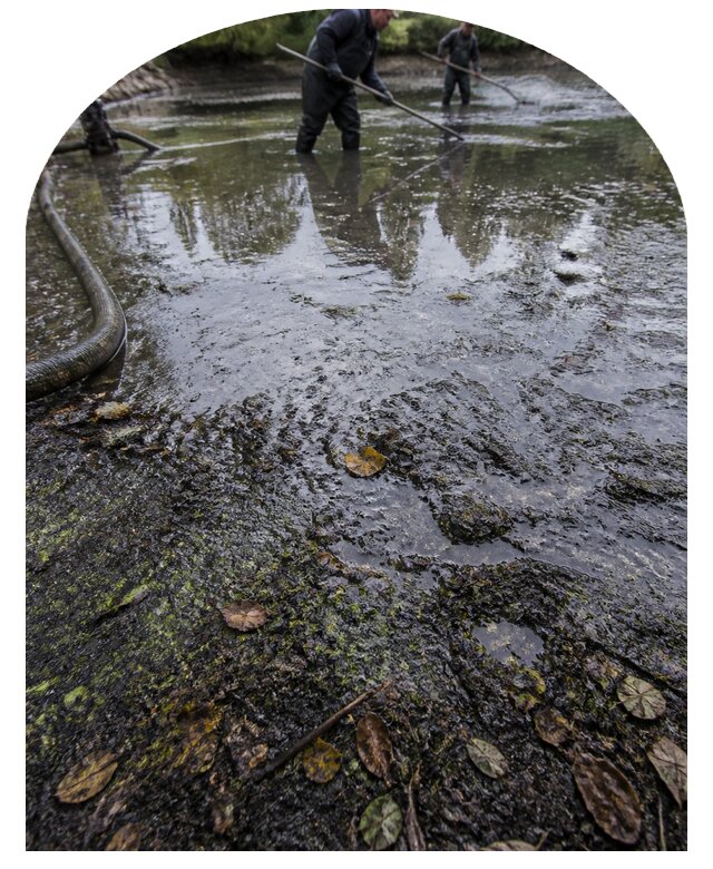Очистка пруда в Когалыме от ила мусора и водорослей с вывозом